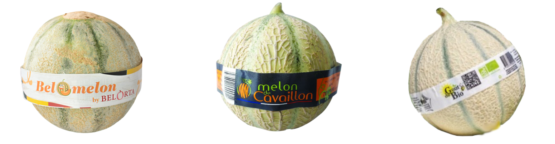Melons - Sormaf - gr10