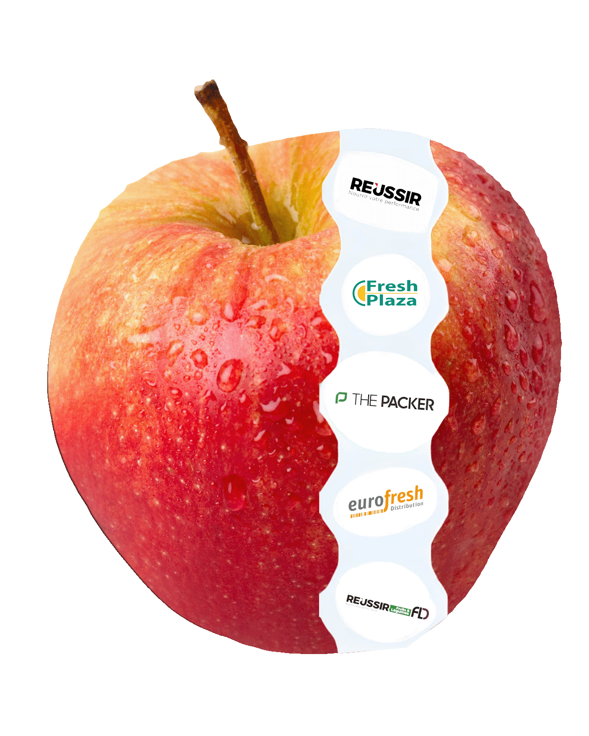 Sormaf stick alimentaure