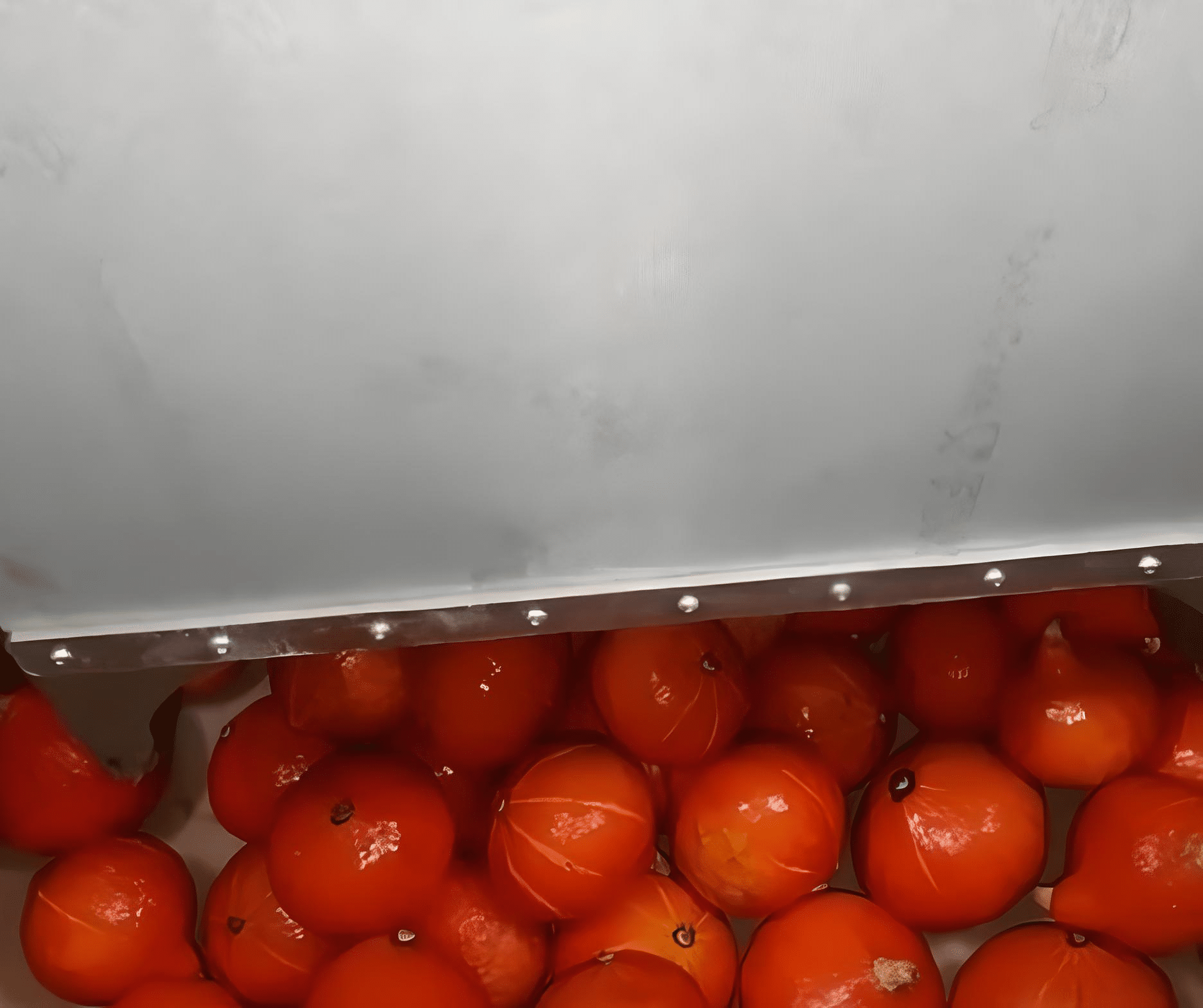 RPP-F450-Sormaf : Remplisseur de palox automatique, conçu pour un remplissage rapide et sécurisé des conteneurs.